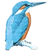 Beelen Dakbedekkingen Ittervoort BV Logo