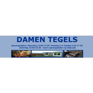 Damen Tegels B.V. Logo