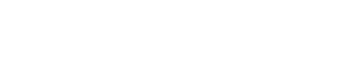 PrismaDetail Logo