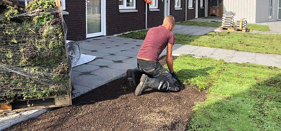 Portfolio afbeelding