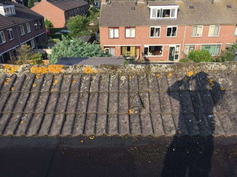 Portfolio afbeelding