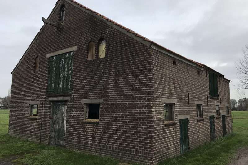Portfolio afbeelding