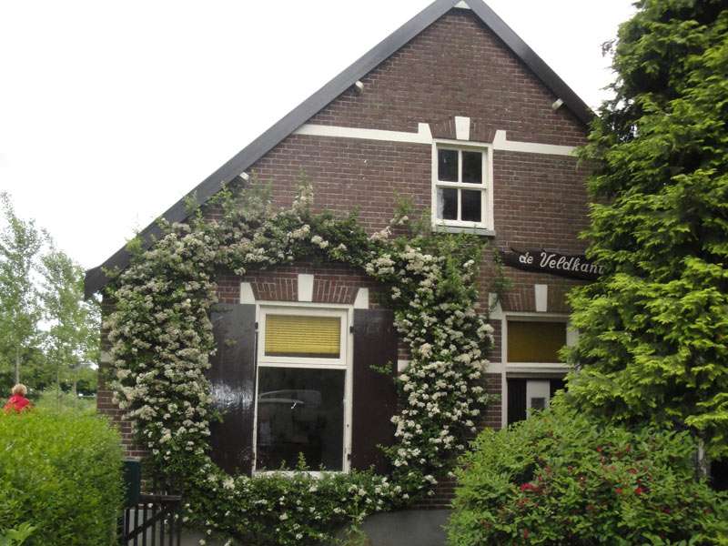 Portfolio afbeelding