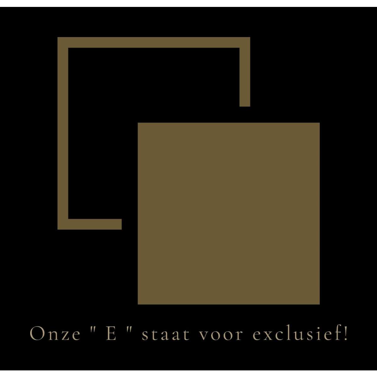 Van Engelen Tegelwerken Logo