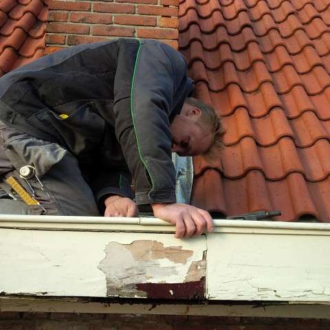 Portfolio afbeelding