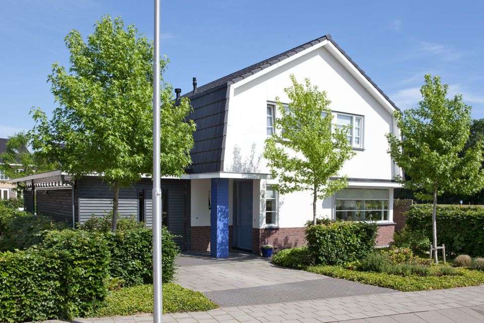 Portfolio afbeelding