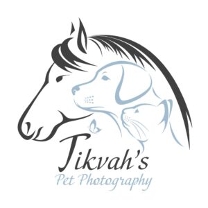 Tikvah’s Pet Photography