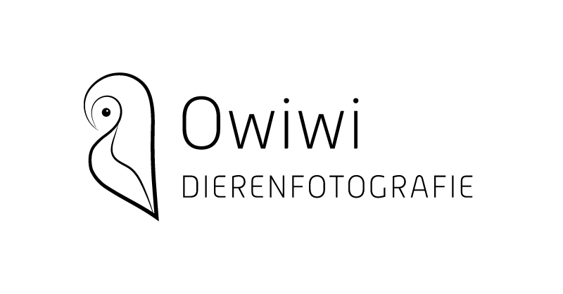 Owiwi Dierenfotografie